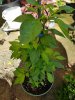20170909_124048.jpg