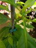 20170909_124053.jpg
