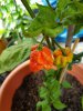 20170913_161350.jpg