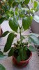 20171007_080420.jpg