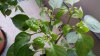 20171007_080429.jpg