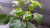 20171007_182848.jpg