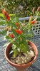 DSC_0169.jpg