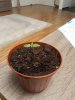 20180308_202908.jpg