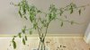 IMG-20180308-WA0043.jpg