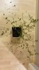 IMG-20180308-WA0045.jpg