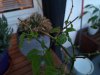 IMG_20180407_202330.jpg