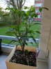 IMG_20180426_5Color.jpg