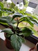 20180503_081445.jpg