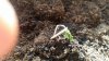 20180507_084248.jpg