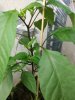 IMG_20180517_073043.jpg