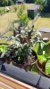 20180629_103406.jpg