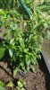 20180629_095454.jpg