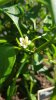20180629_095548.jpg