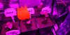 IMG_20190113_130343.jpg