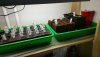 20180216_095748.jpg