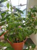 IMG_20190224_135849.jpg
