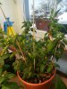 IMG_20190209_085641.jpg