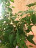IMG_20190227_150939.jpg