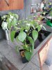 IMG_20190415_165015.jpg