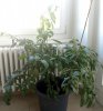 IMG_20190428_175500451.jpg