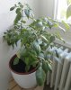 IMG_20190428_175509926.jpg