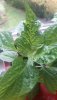 IMG-20190508-WA0017.jpeg