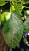 20190518_142306.jpg