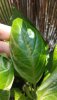 20190518_142348.jpg