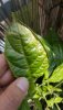 20190518_142354.jpg