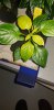20190525_213844.jpg