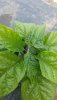 20190604_152923.jpg