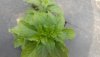 20190606_155114.jpg