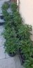 20190701_180758.jpg