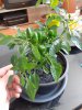 20190724_143754.jpg