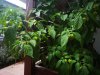IMG_20191009_172300.jpg