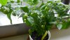DSCN9852.JPG