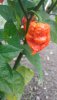 20191015_170359.jpg