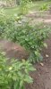 20190910_151315.jpg