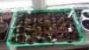 IMG-20200317-WA0007.jpg