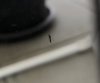 7623E522-BF69-4382-9280-69E40193708B.jpeg