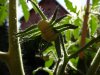 DSC00008.JPG