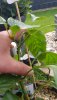 20200809_124729.jpg
