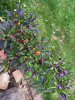 IMG_20200926_182328.jpg