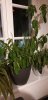20201008_210323.jpg
