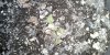 IMG_20201116_161335.jpg