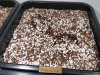 IMG_20210110_195650.jpg
