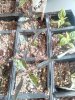 IMG_20210221_123455_0.jpg