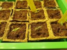 IMG_20210318_184652.jpg