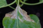 DSC07858.jpg